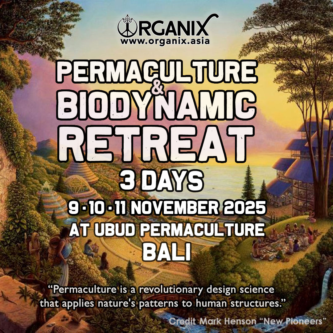 phangan organic